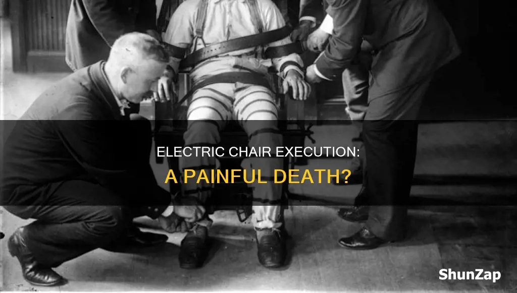 is death by the electric chair painful