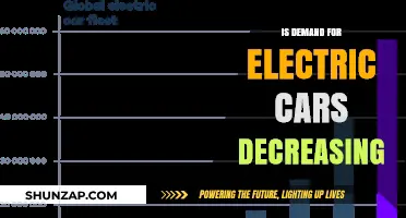 Are Electric Cars Losing Popularity? Analyzing the Shifting Demand Trends