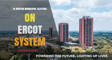 Denton Municipal Electric: ERCOT System Partner?