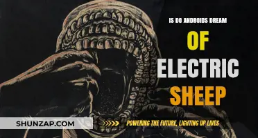 Exploring Androids' Dreams in Electric Sheep