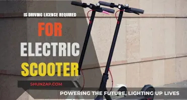 Electric Scooters: License Requirements and Road Rules
