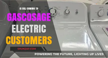 DSL Internet Access for Gascosage Electric Customers: What's the Status?
