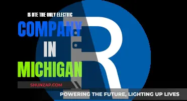 Electric Companies in Michigan: Exploring DTE Alternatives