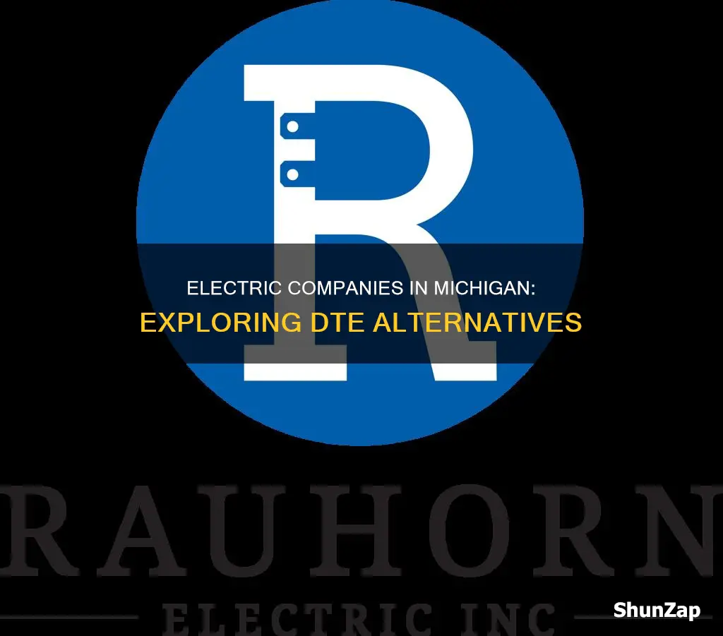 is dte the only electric company in michigan