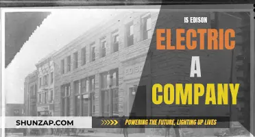 Edison Electric: A Company Revolutionizing the Energy Industry