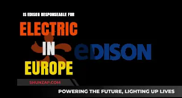 Edison's Electric Legacy in Europe: Who's Responsible?