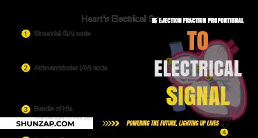 Electrical Signals and Ejection Fraction: Is There a Link?