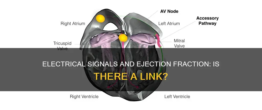 is ejection fraction proportional to electrical signal