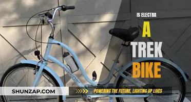 Electra Bike: Trek or Not?