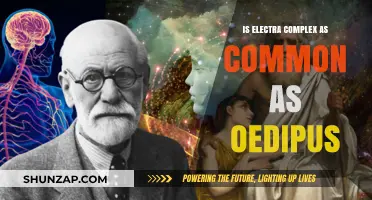 Electra Complex: As Common as Oedipus?