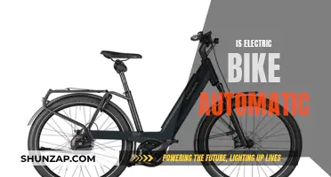 Electric Bikes: Automatic or Manual?