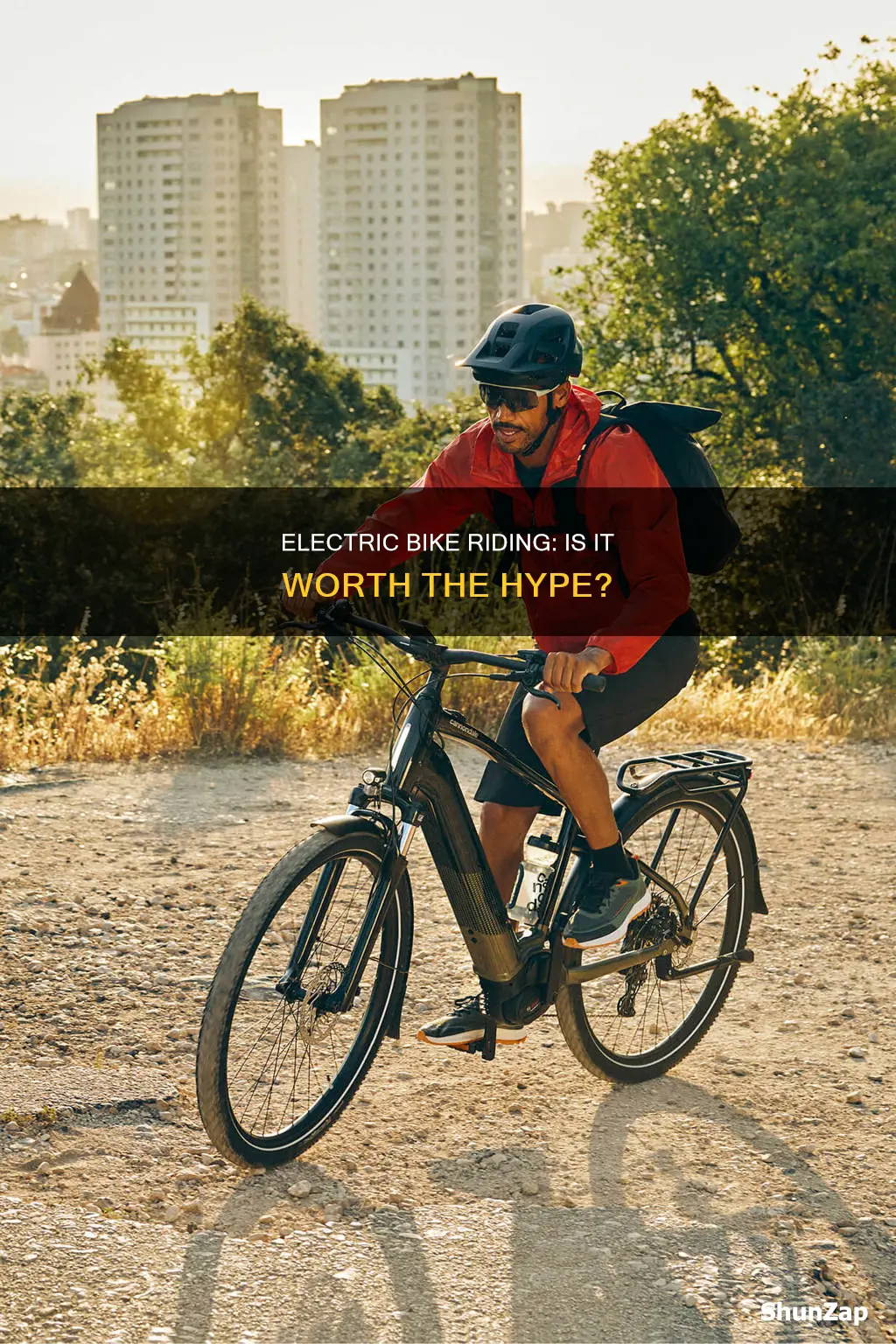 is electric bike to rid their