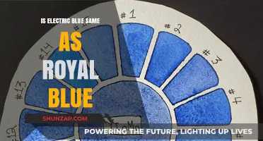Electric Blue vs Royal Blue: What's the Difference?