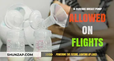 Are Electric Breast Pumps Allowed on Flights?