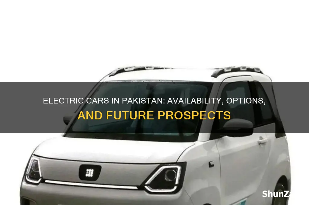 is electric car available in pakistan