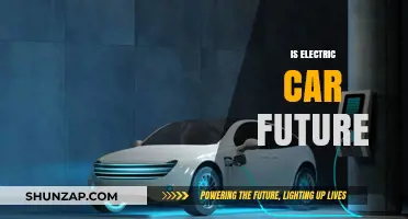 Electric Cars: The Future of Sustainable Transportation?