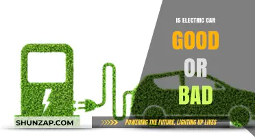 Electric Cars: Eco-Friendly Innovation or Hidden Environmental Dilemma?
