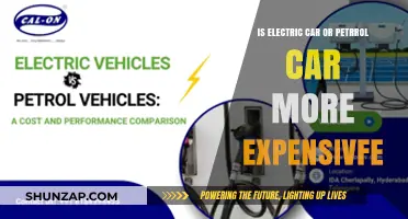 Electric vs. Petrol Cars: Which Costs More in the Long Run?