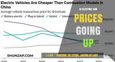 Are Electric Car Prices Rising? Trends and Factors to Watch