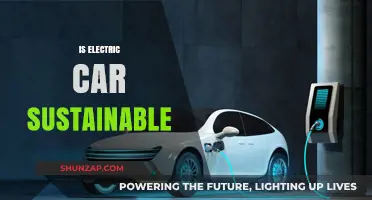 Are Electric Cars Truly Sustainable? Exploring the Environmental Impact
