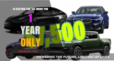 Electric Car Tax Credit: One-Year Deal or Long-Term Incentive?