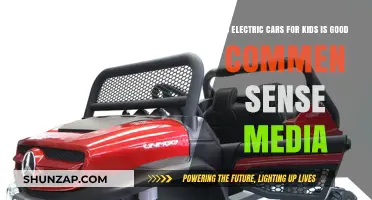 Electric Cars for Kids: Smart Choice or Overkill? Common Sense Media Review