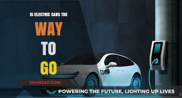 Electric Cars: The Future of Sustainable Transportation or Just a Trend?