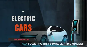 Are Electric Cars the Future of Sustainable Transportation?