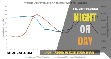Electricity Costs: Night vs. Day Rates