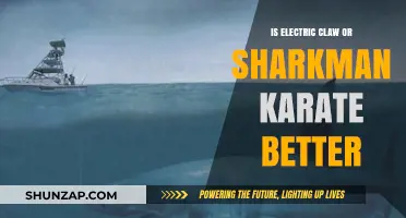 Electric Claw vs Sharkman Karate: Which Style Wins?