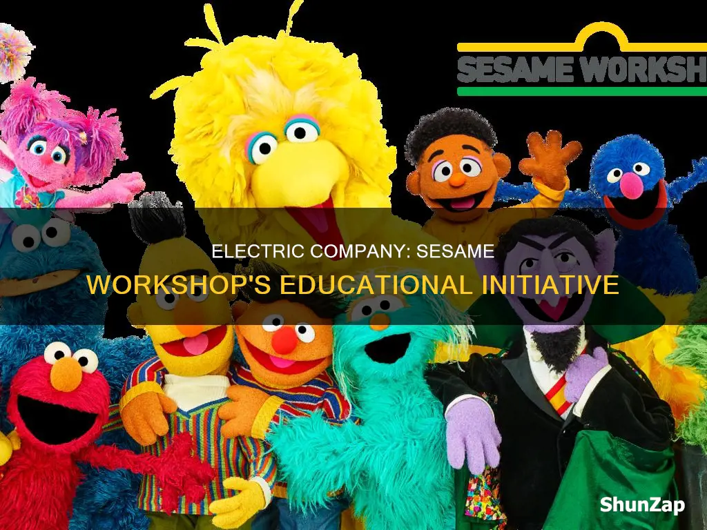 is electric comapny owned by sesame workshop