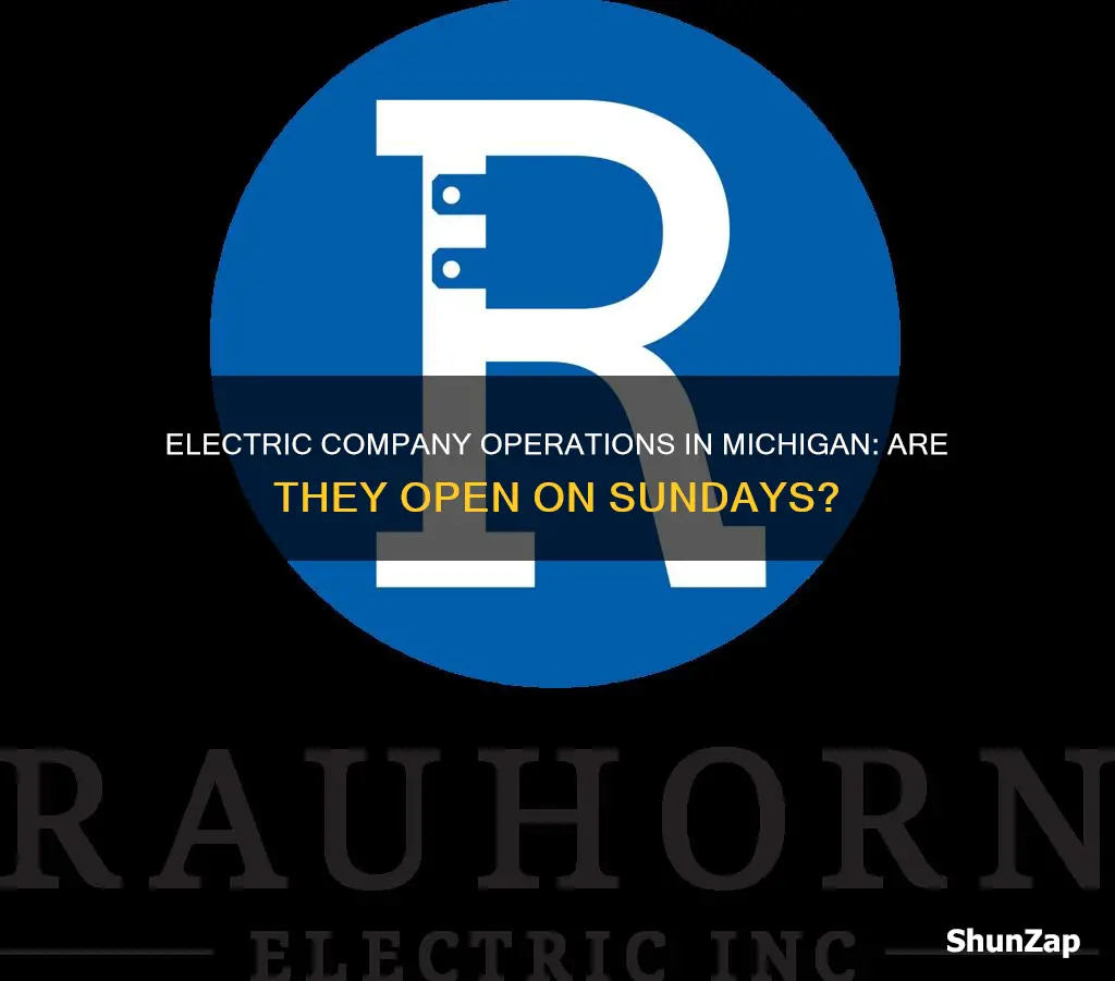 is electric company open sunday in michigan