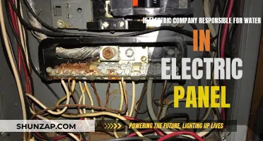 Electric Company's Liability for Water Damage to Panels