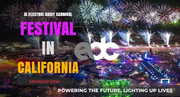 EDC California: Electric Daisy Carnival Experience