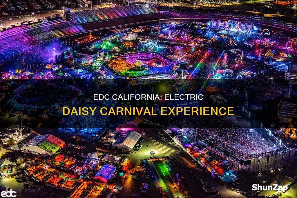 is electric daisy carnival festival in california