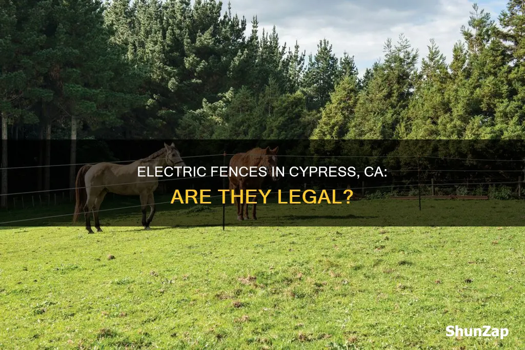 is electric fence legal in cypress ca