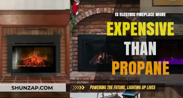 Electric vs Propane Fireplaces: Energy Costs Compared