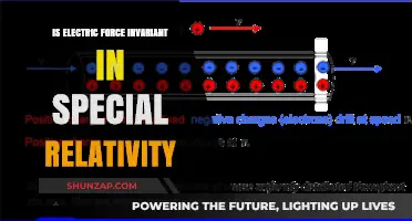 Electric Force Invariance: Special Relativity's Impact