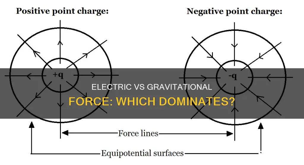 is electric force or gravitational force stronger