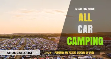 Electric Forest Camping: Car Camping Options and Alternatives Explained