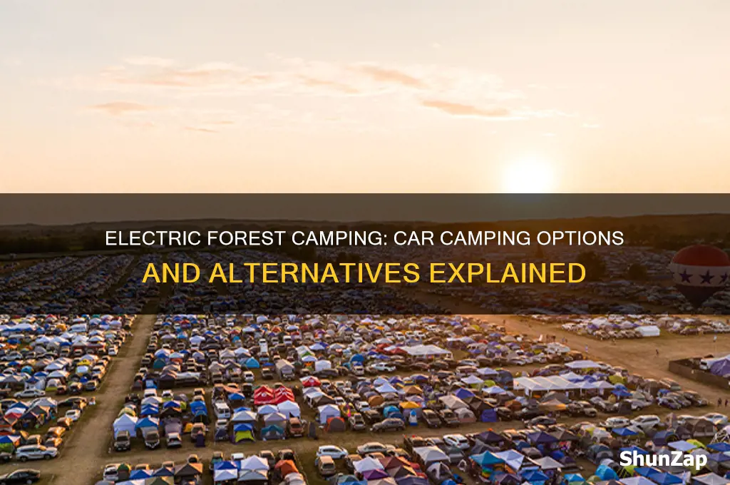 is electric forest all car camping