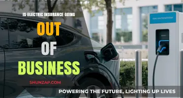 Electric Insurance's Future: What's Next?