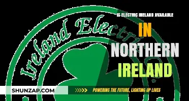 Electric Ireland: Available in Northern Ireland?
