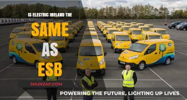 ESB and Electric Ireland: What's the Difference?