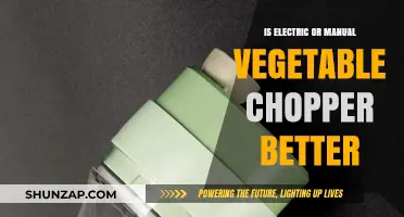 Electric vs Manual: Which Chopper is the Kitchen Hero?