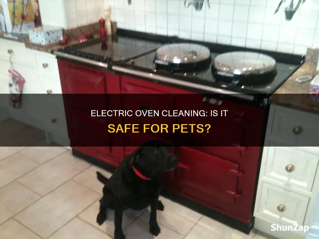 is electric oven cleaning dangerous to pets