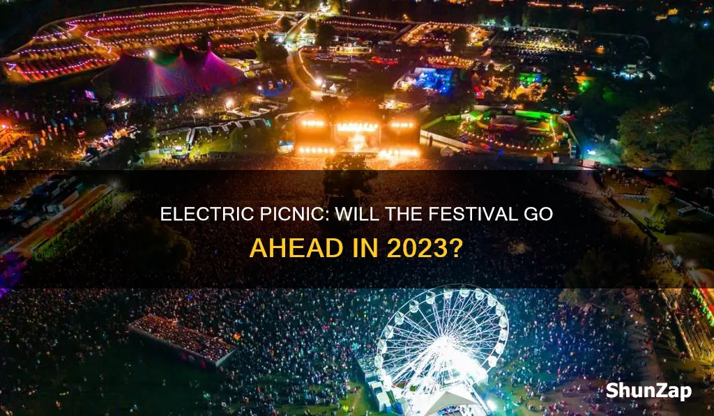 is electric picnic going ahead this year