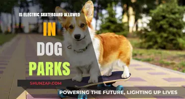Skateboarding in Dog Parks: Electric or Not?