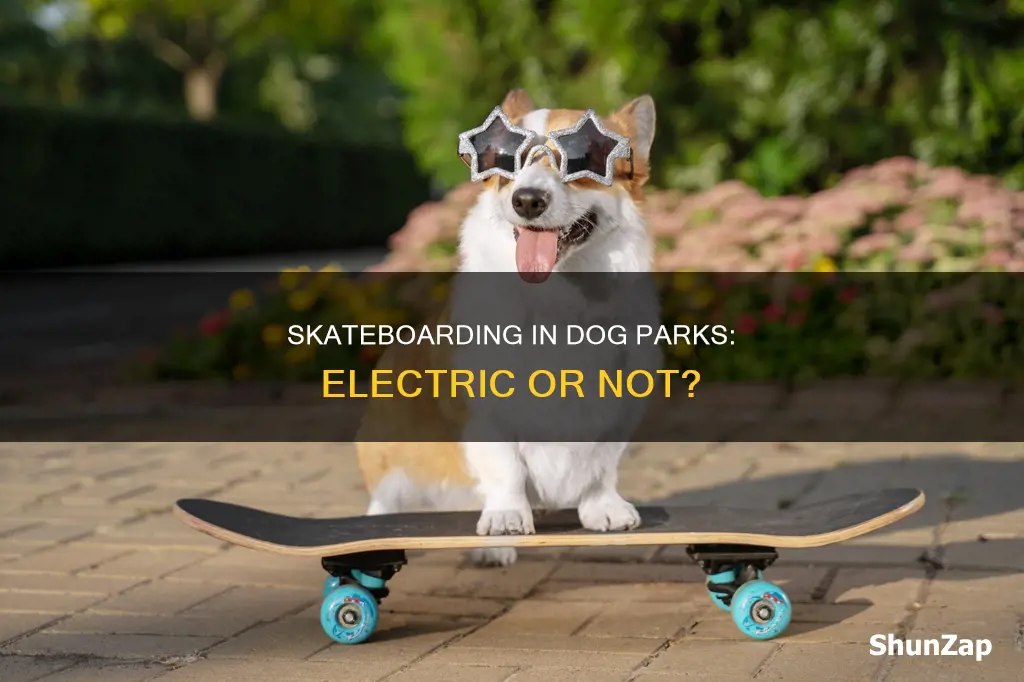 is electric skateboard allowed in dog parks