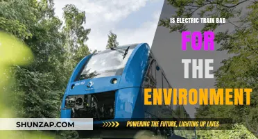 Electric Trains: Green Travel or Environmental Disaster?